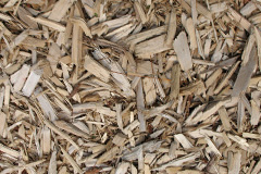 biomass boilers Lilyvale